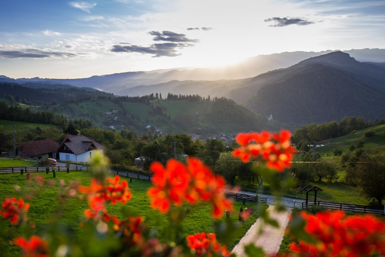 Bran Monte Crai Chalet Exterior photo