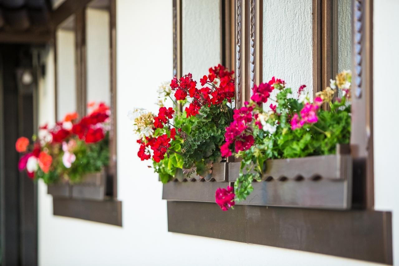 Bran Monte Crai Chalet Exterior photo